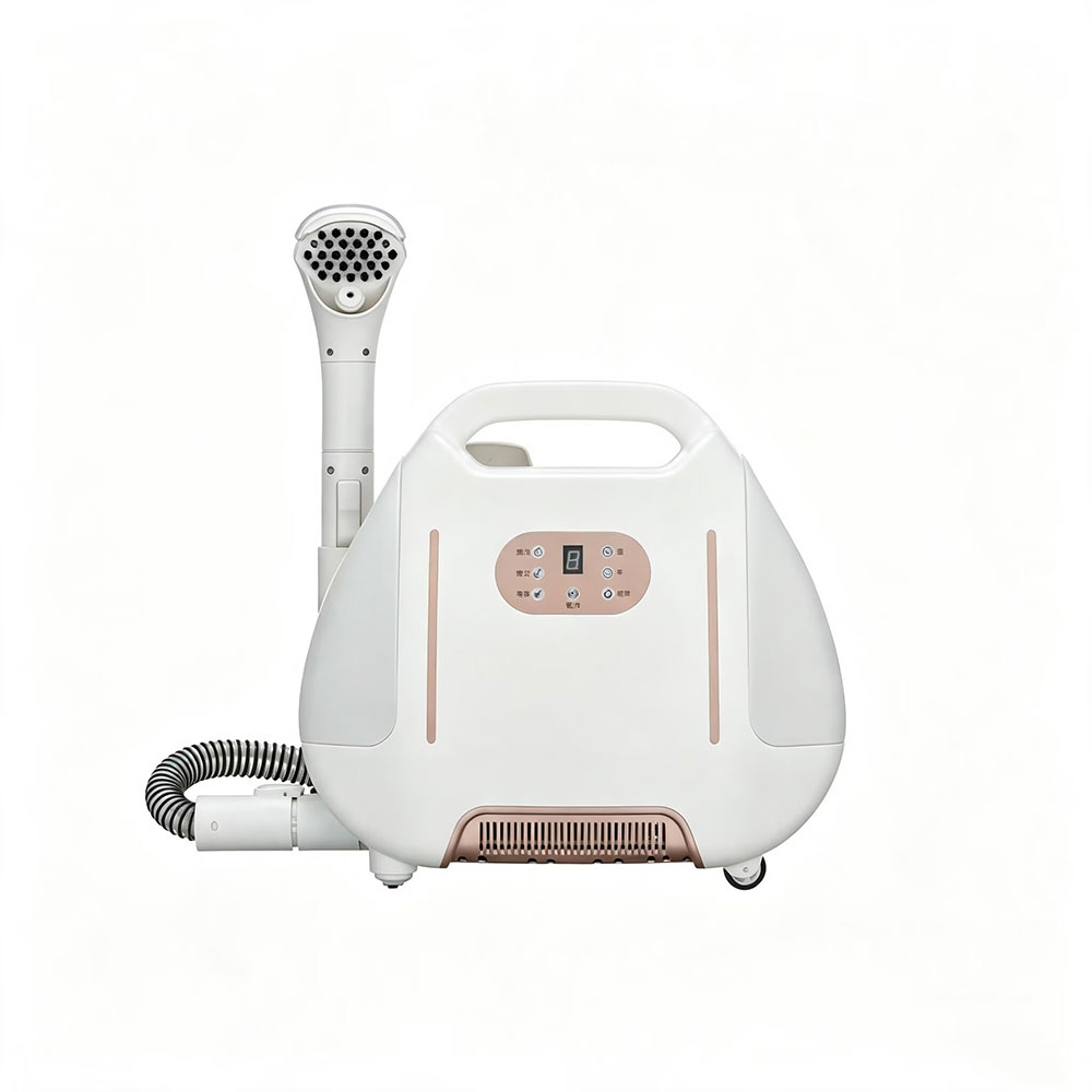 Multi-Purpose Portable Carpet and Upholstery Cleaner, Car and Auto Detailer